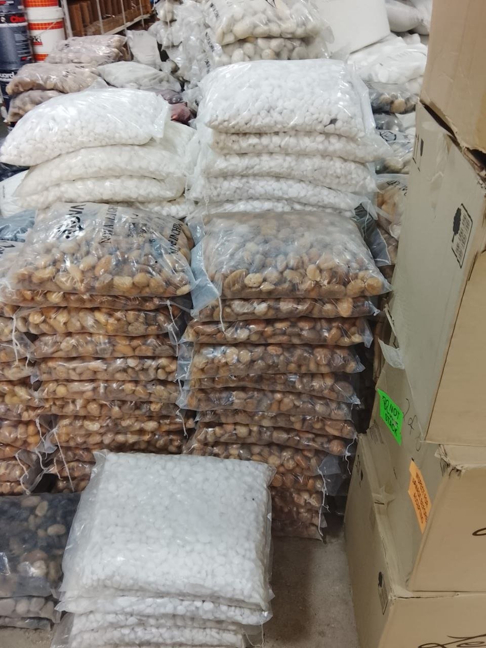 زهور طبيعية ملونة للبيع في الرياض