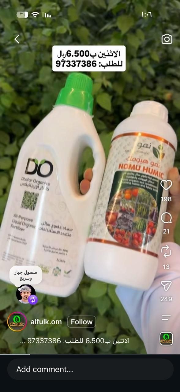 زهور طبيعية ملونة للبيع في الرياض
